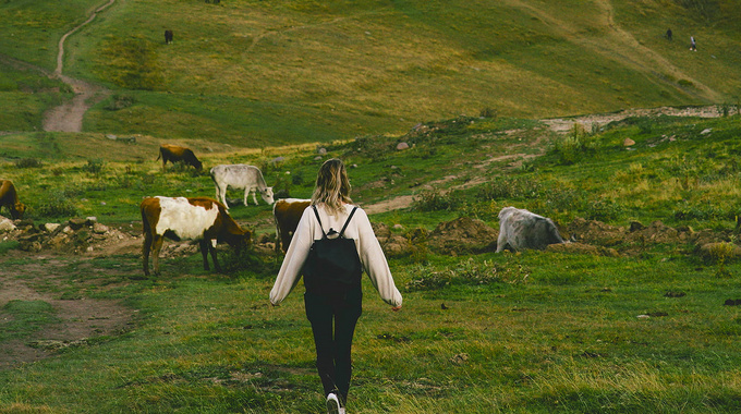 Plaanid Gruusiasse reisi? Reisikindlustus on alates 2026 kohustuslik