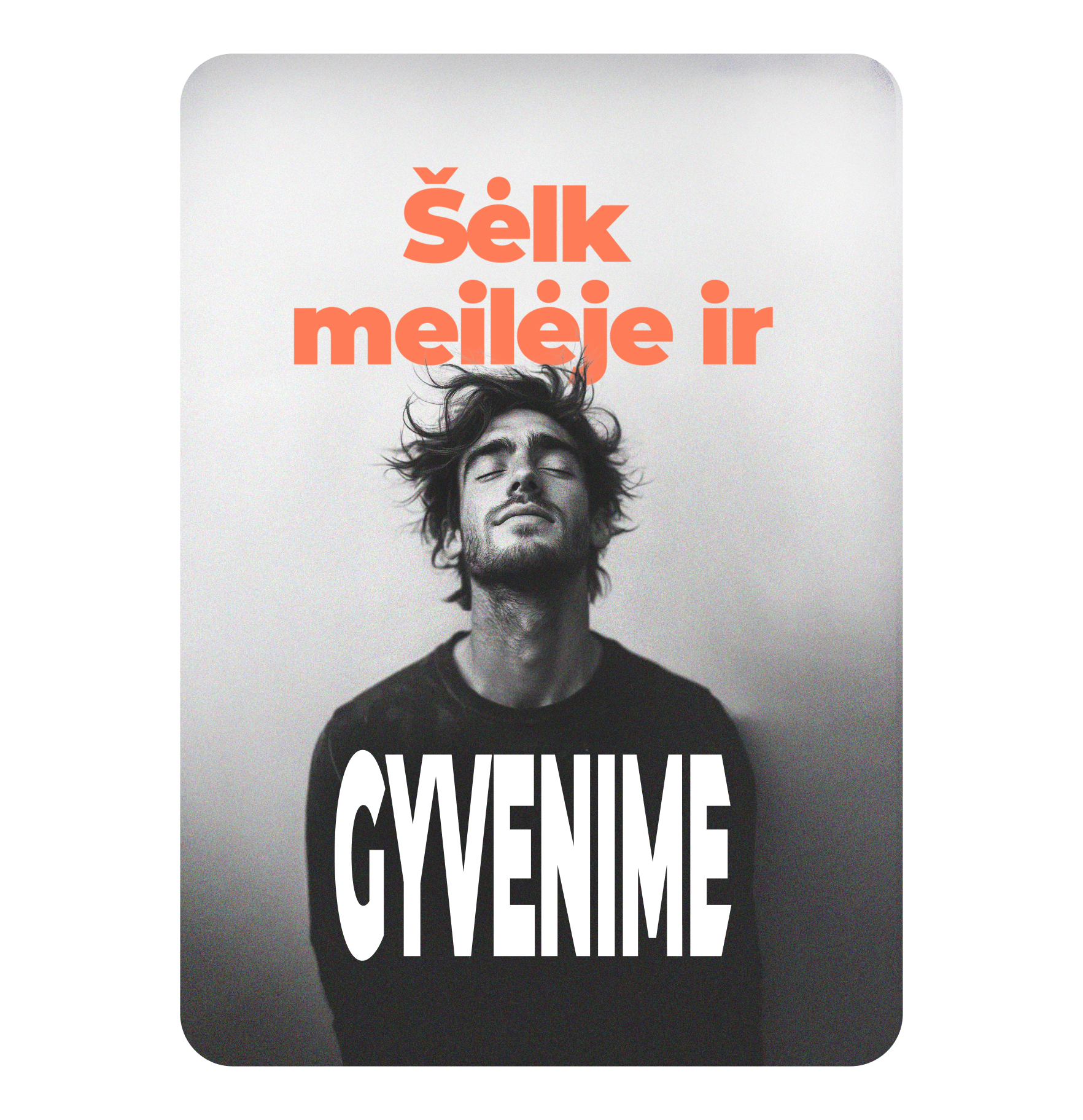  Balcia CASCO for your car!